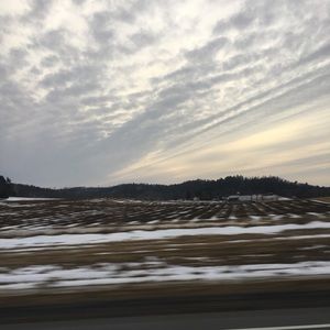 Meet your Posher, Ellie